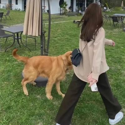 荒漠恶种
